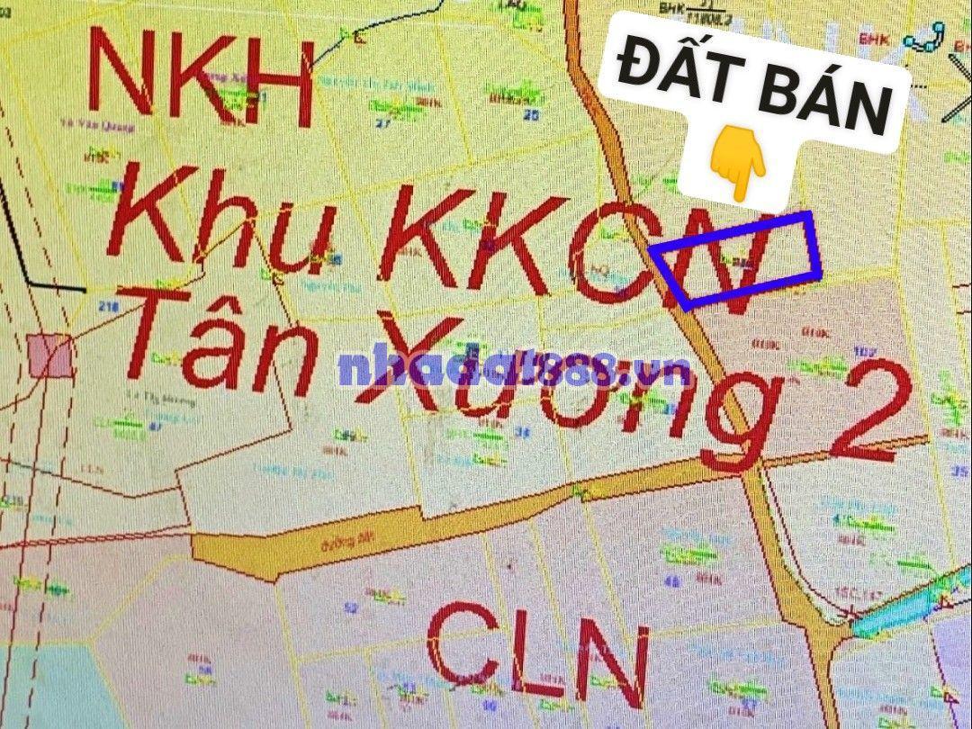Next