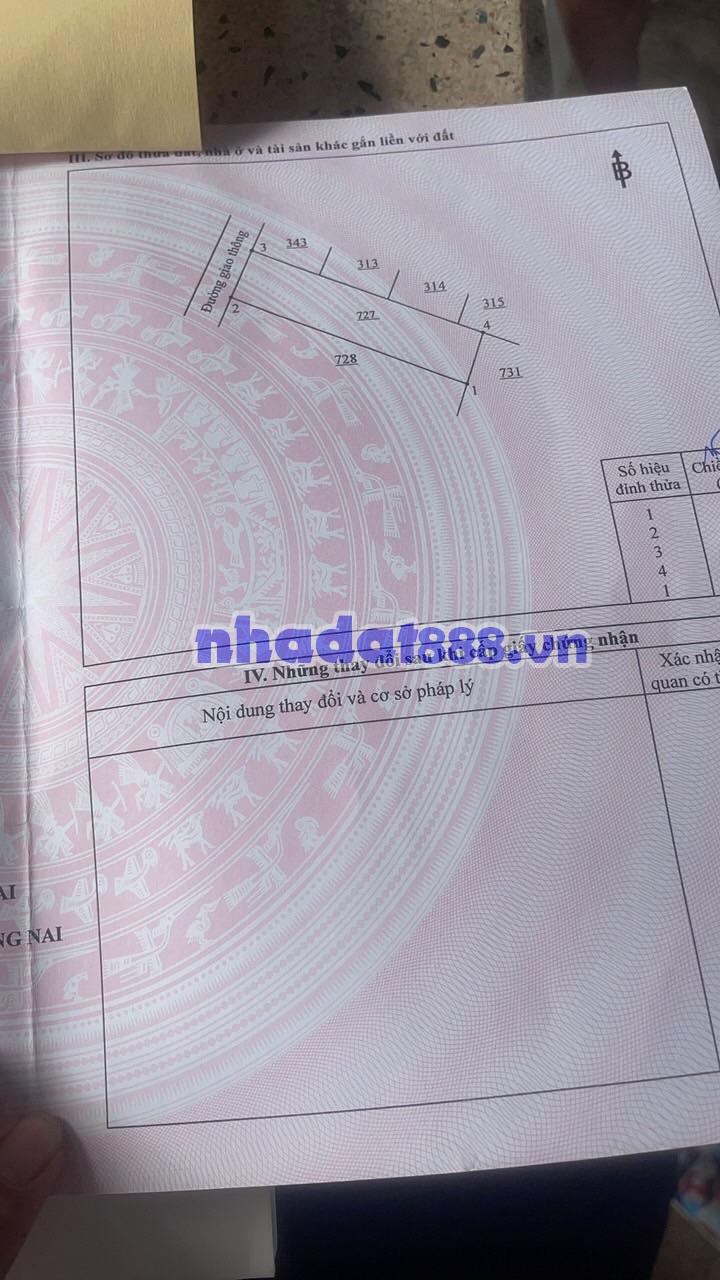 Next