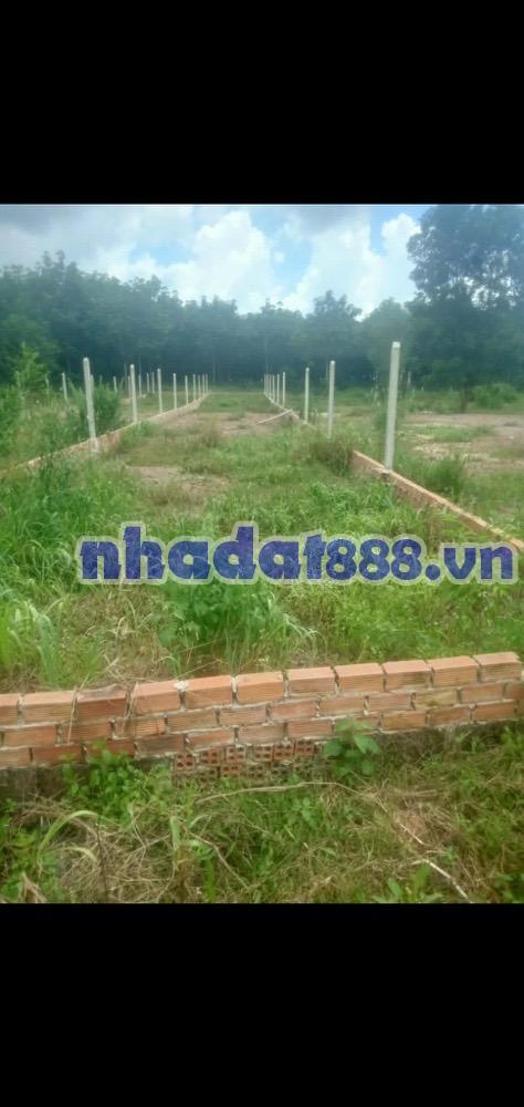 Next