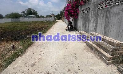 Mặt Tiền Đường Nguyễn Thị Điểm , Tân Trụ , Long An 