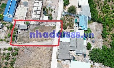 Bán gấp! Đường ven biển- 2ty550 647m2 ngang 14m - tiện kinh doanh, xây khách sạn, đầu tư