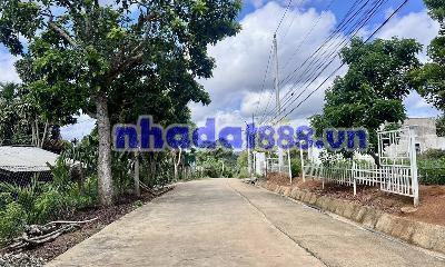 ĐẤT ĐÔNG THANH – VEN ĐÀ LẠT – MẶT TIỀN RỘNG 15M – HẠ TẦNG HOÀN THIỆN