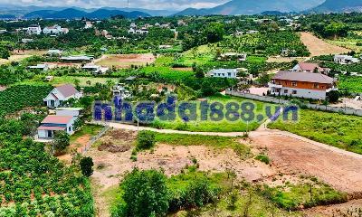 Bán Đất Ven Đà Lạt 335m² Thổ Cư 254m² – Đất Nở Hậu, View Đồi Núi, Lý Tưởng Xây Nhà Vườn Nghỉ Dưỡng