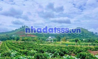 Cần Bán Đất Ven Đà Lạt 1.001m² Có 200m² Thổ Cư View Núi Đẹp Tại Nam Hà