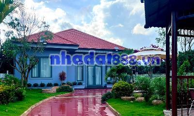 Cần Bán Nhà Vườn Tà Nung 579m² Full Nội Thất Phường Cam Ly, Đà Lạt Giá 7,5 Tỷ