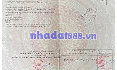 CHỦ CẮT LỖ LÔ ĐẤT SÀO HCM