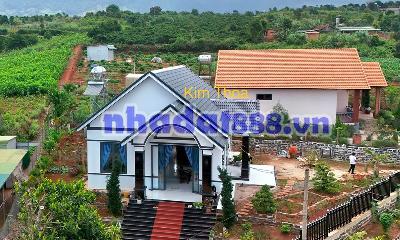 Cần Bán Nhà Vườn Đông Thanh 661m² Mặt Tiền 40m, Full Nội Thất Gần Đà Lạt