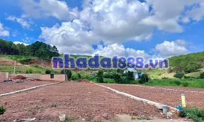 Cần Bán Đất Lâm Đồng Thổ Cư Giữa Đồi Thông, Lý Tưởng Xây Nhà Vườn