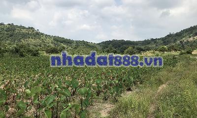 Bán 8863m2 đất giá rẻ 160k/m2, xã Tân Minh, Lâm Đồng, sát bên cao tốc, KCN Tân Đức Sonadezi