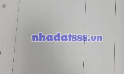 Bán đất trồng cây hàng năm tại xaTam Thôn Hiệp, Cần Giờ, TP.HCM, giá 4.1 tỷ (có TL), đường ô tô