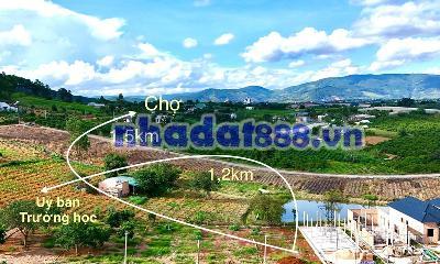 Cần Bán Đất 324m² Có 256m² Thổ Cư, Mặt Tiền 12m, Sẵn Hạ Tầng Xây Nhà