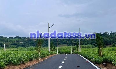 Cần Bán Đất 104m², 76m² Đất Ở, Đường Nhựa, Gần Suối Cam Ly Chỉ Từ 450 Triệu