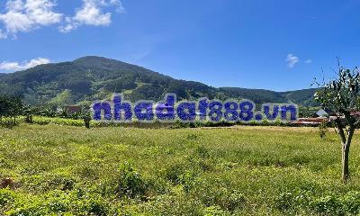 Cần Bán Đất Đông Thanh 397m², 200m² Đất Ở, Ô Tô Tận Đất, View Đồi Núi