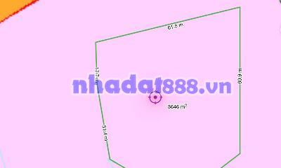 Bán 3.559m² Đất Hòa Thắng Lâm Đồng, Cách Biển 800m, Giá Chỉ 1,2 Tỷ