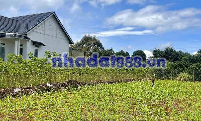 Cần Bán Đất 386m², Mặt Tiền 11,6m, Đường Rộng, Gần Trường Học