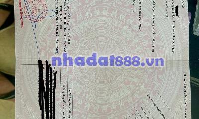 Lưu Trùng Dương đường 7m5